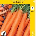 Porkkana 'Berlicum 2' siemennauha
