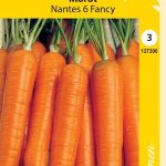 Porkkana 'Nantes 6 Fancy'