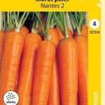 Porkkana 'Nantes 2' pilleröity