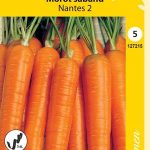 Porkkana 'Nantes 2' siemennauha