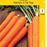 Porkkana 'Nantes 3 Tip Top'