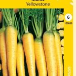 Porkkana 'Yellowstone'