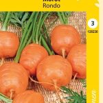 Porkkana 'Rondo'