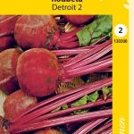 Punajuuri 'Detroit 2'