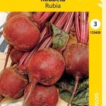 Punajuuri 'Rubia'