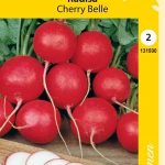 Retiisi 'Cherry Belle'