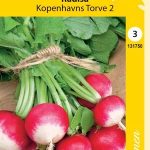 Retiisi 'Kobenhavns Torve 2'