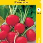 Retiisi 'Riesenbutter'