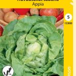 Keräsalaatti 'Appia' siemennauha