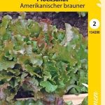 Lehtisalaatti 'Amerikanischer brauner'