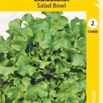 Tammenlehtisalaatti 'Salad Bowl'