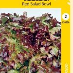 Tammenlehtisalaatti 'Red Salad Bowl'