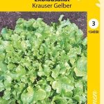 Tammenlehtisalaatti 'Krauser Gelber'