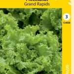 Lehtisalaatti 'Grand Rapids'
