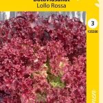 Bataviasalaatti 'Lollo Rossa'