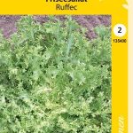 Frisée-Salaatti eli Kähäräendiivi 'Ruffec/De Meaux'
