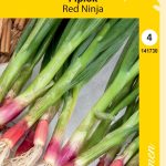 Pillisipuli eli talvisipuli 'Red Ninja'