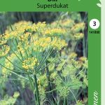 Tilli 'Superdukat'