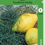 Tilli 'tavallinen'