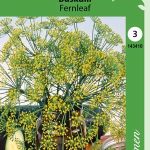 Pensastilli 'Fernleaf'