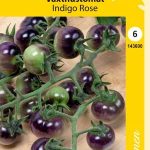 Kasvihuonetomaatti 'Indigo Rose'