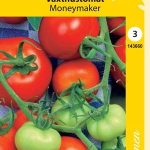 Kasvihuonetomaatti 'Moneymaker'