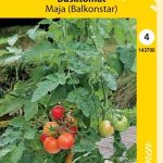 Pensastomaatti 'Maja' (Balkonstar)