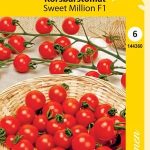 Kirsikkatomaatti 'Sweet Million F1'