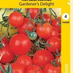 Kirsikkatomaatti 'Gardener's Delight'