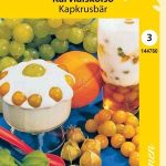 Ananaskirsikka eli karviaiskoiso