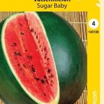 Vesimeloni 'Sugar Baby'