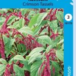 Punarevonhäntä 'Crimson Tassels'