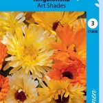 Tarhakehäkukka 'Art Shades'