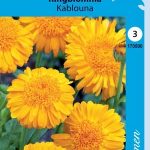 Tarhakehäkukka 'Kablouna'