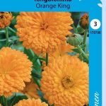 Tarhakehäkukka 'Orange King'