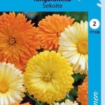 Tarhakehäkukka sekoite