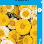 Kruunusuvikakkara kerrottu sekoite