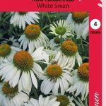 Kaunopunahattu 'White Swan'