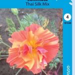 Kaliforniantuliunikko 'Thai Silk Mix'