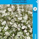 Kesäharso 'Covent Garden'