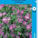 Kesäharso 'Crimson'