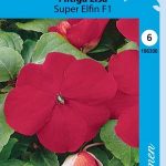 Ahkeraliisa 'Super Elfin' F1