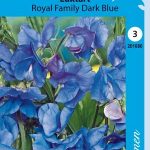 Tuoksuherne 'Royal Family Dark Blue'