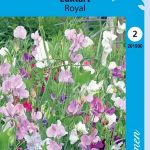 Tuoksuherne 'Royal' sekoite