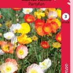Siperianunikko 'Partyfun'