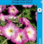 Tarhapetunia 'Mirage Rose Morn'