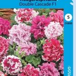 Tarhapetunia 'Double Cascade F1'
