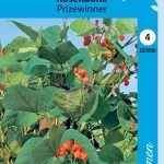 Ruusupapu 'Prizewinner'