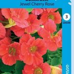 Pensasköynnöskrassi 'Jewel Cherry Rose'