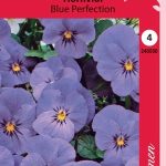 Sarviorvokki 'Blue Perfection'